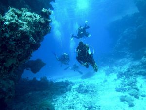 diving-813028_1920